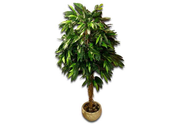 Deko- Baum "Mango" 2,00m